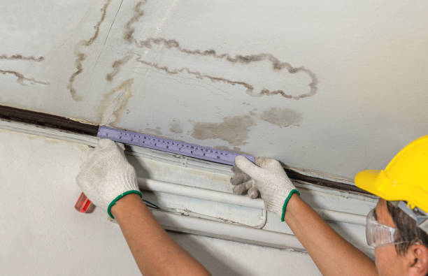 Reliable Water Damage contractor in Sedalia, NC by Water Damage Irwin
